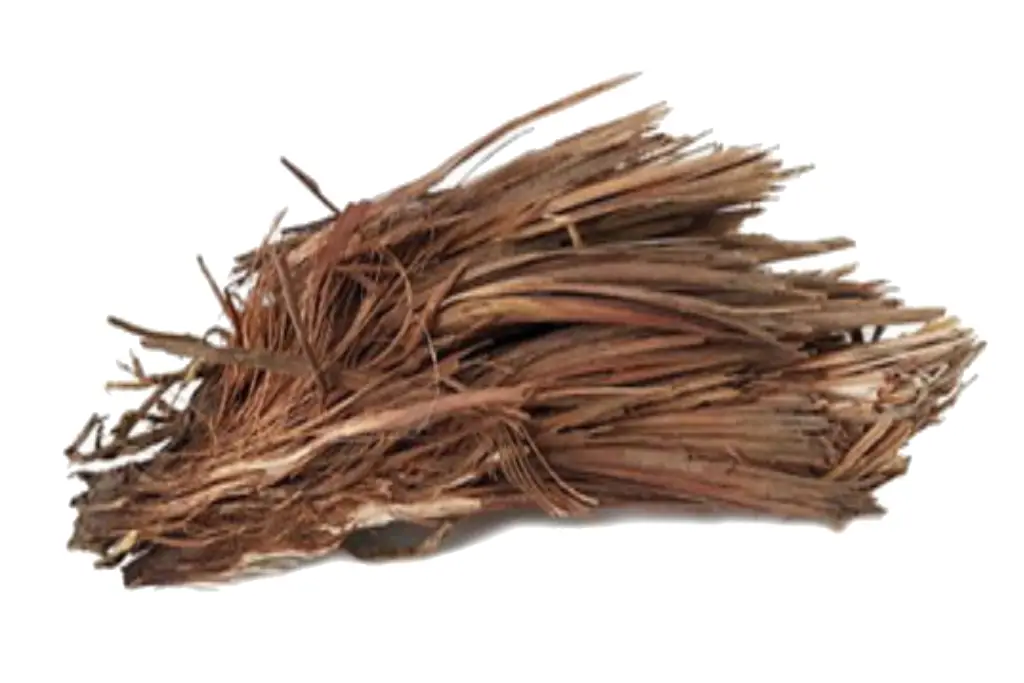 عکس اذخر مکی(Andropogon spp) و خواص آن