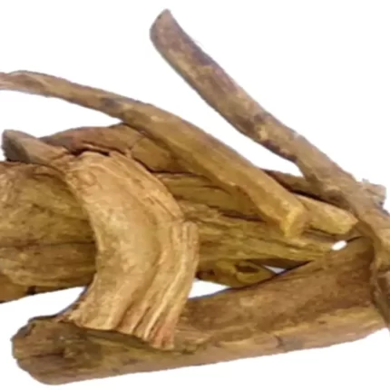 عکس و خرید ریوند چینی(Rheum officinale) و خواص آن