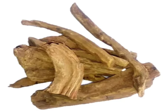 عکس و خرید ریوند چینی(Rheum officinale) و خواص آن