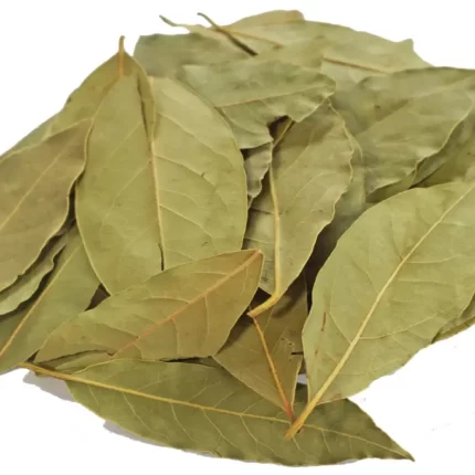 عکس، قیمت و خرید ساذوج هندی(Cinnamomum tamala) و خواص آن